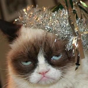 Meet your Posher, Dodi